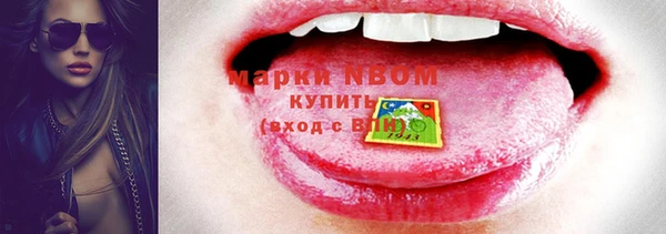 индика Краснослободск