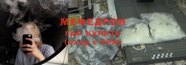 индика Краснослободск