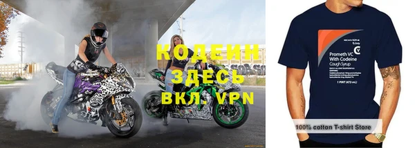 индика Краснослободск