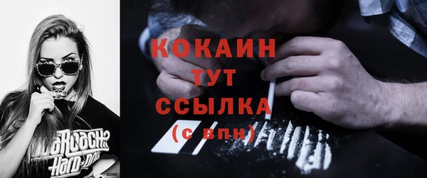 индика Краснослободск