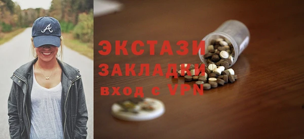 индика Краснослободск