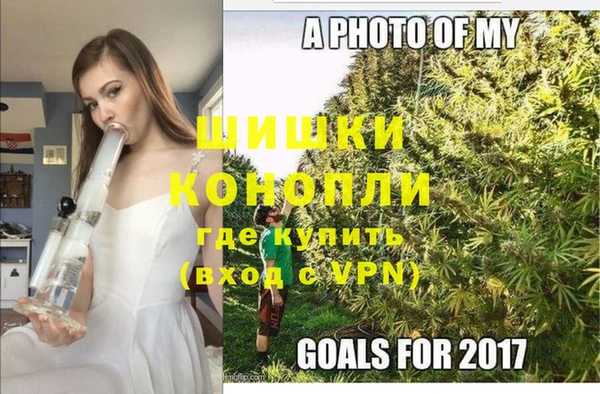 индика Краснослободск