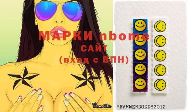 индика Краснослободск