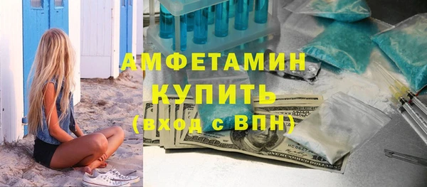 индика Краснослободск