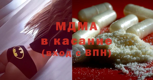 индика Краснослободск