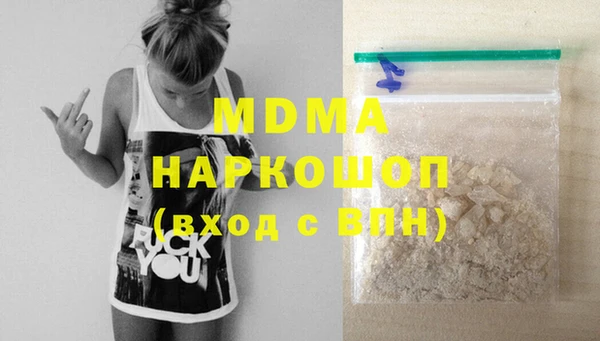 индика Краснослободск