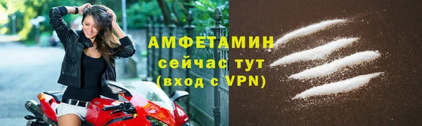 индика Краснослободск