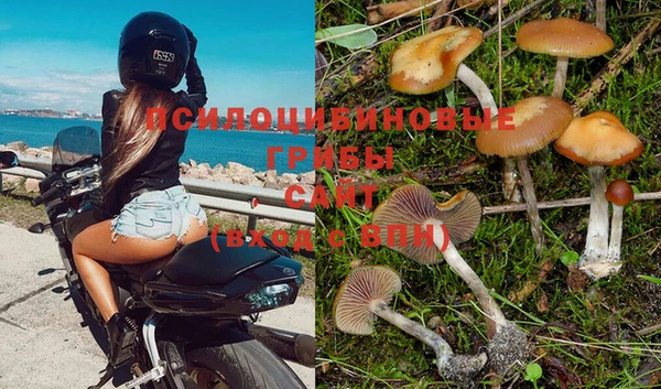 мяу мяу мука Краснотурьинск